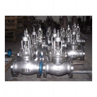 Globe Valve